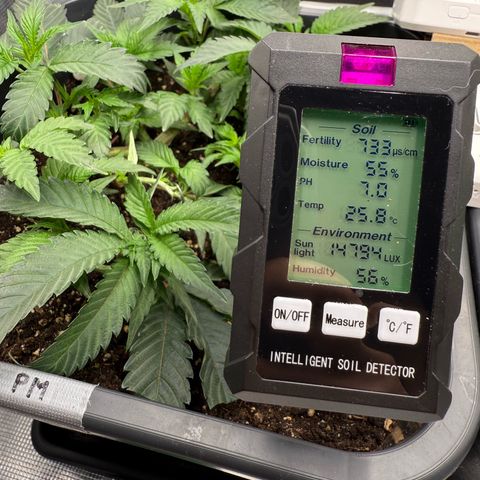 Permanent Marker growlog photo: 10:30
