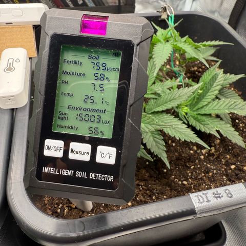 Dante‘s Inferno #8 growlog photo: 10:30