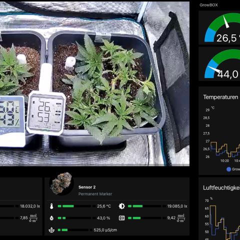 Permanent Marker growlog photo: 13:00