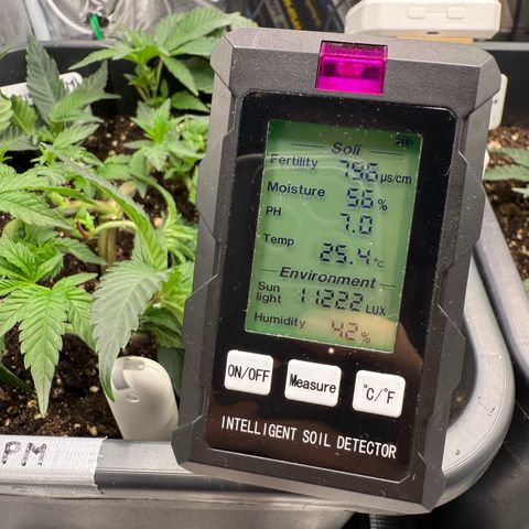 Permanent Marker growlog photo: 14:15