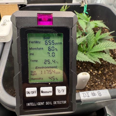 Dante‘s Inferno #8 growlog photo: 14:15