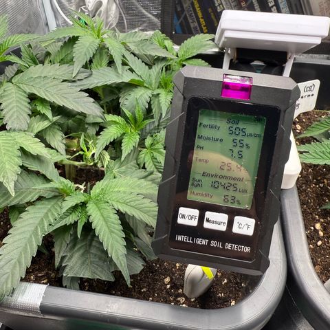 Permanent Marker growlog timeline photo