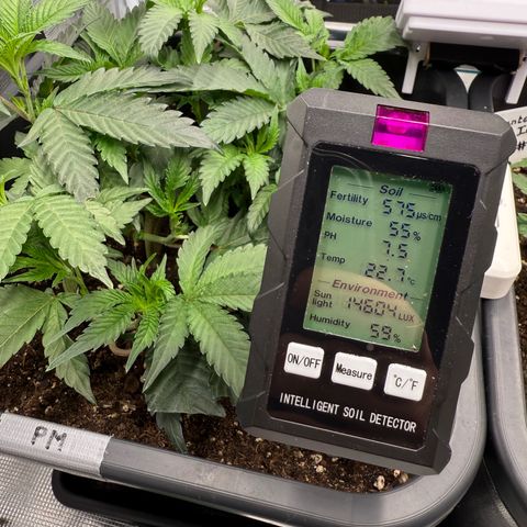 Permanent Marker growlog timeline photo