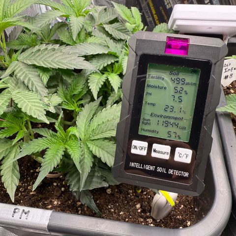 Permanent Marker growlog photo: 10:30