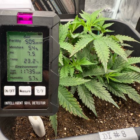 Dante‘s Inferno #8 growlog photo: 10:30