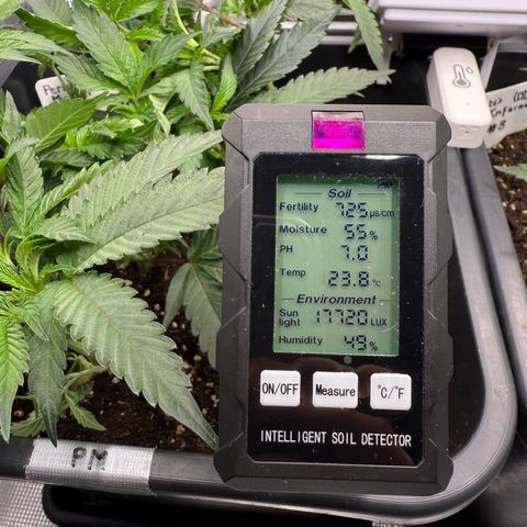 Permanent Marker growlog photo: 12:30