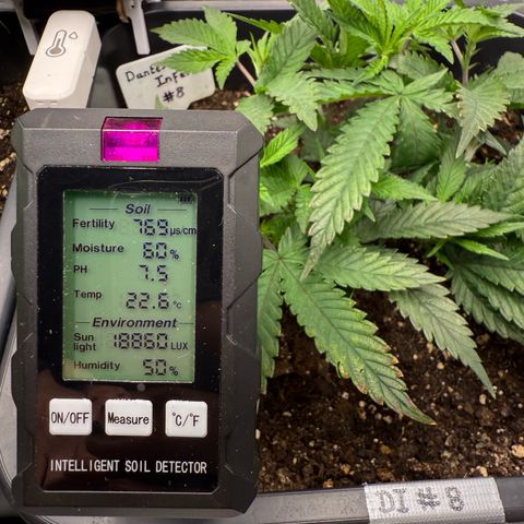 Permanent Marker growlog photo: 12:30