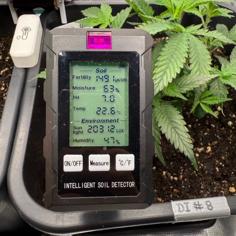 Permanent Marker growlog photo: 12:30