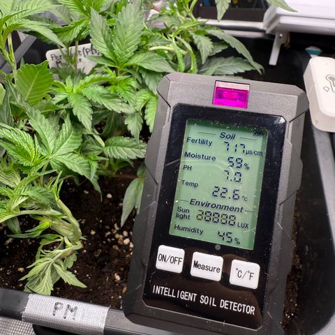Permanent Marker growlog photo: 12:30