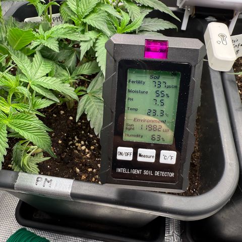 Permanent Marker growlog photo: 17:15