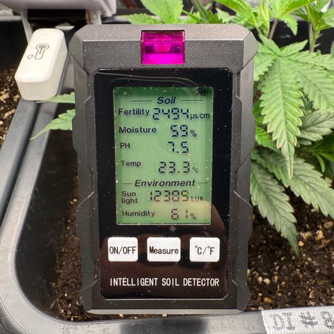 Dante‘s Inferno #8 growlog photo: 17:15