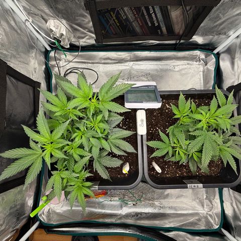 Permanent Marker growlog photo: 8:45