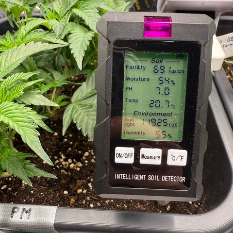 Permanent Marker growlog photo: 8:45