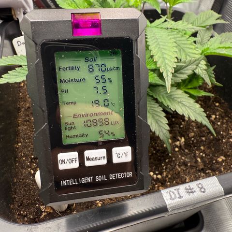 Dante‘s Inferno #8 growlog photo: 8:45