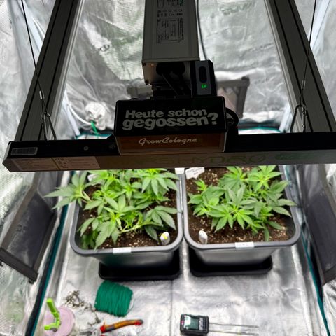 Permanent Marker growlog photo: 10:30