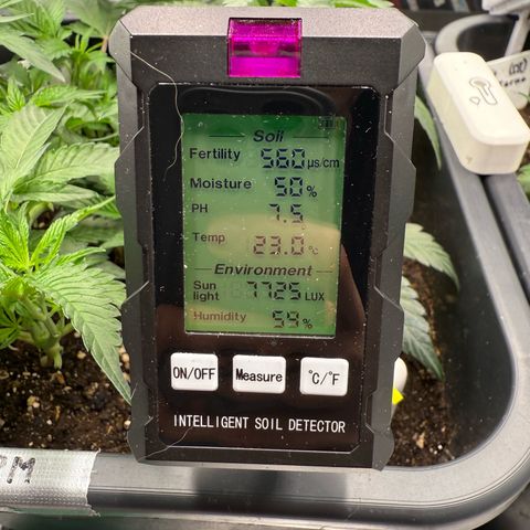 Permanent Marker growlog photo: 10:30