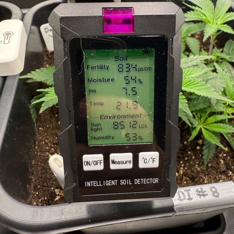 Dante‘s Inferno #8 growlog photo: 10:30