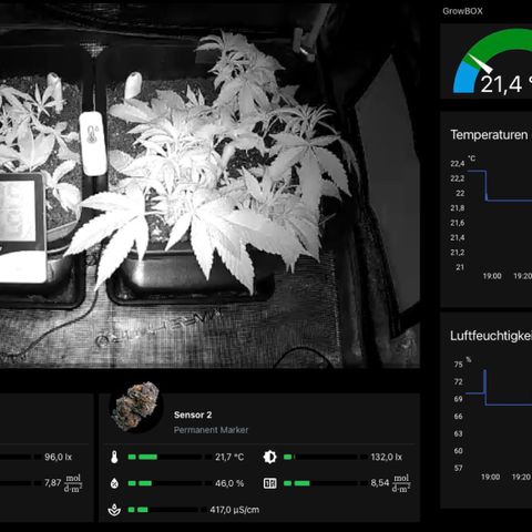 Permanent Marker growlog timeline photo