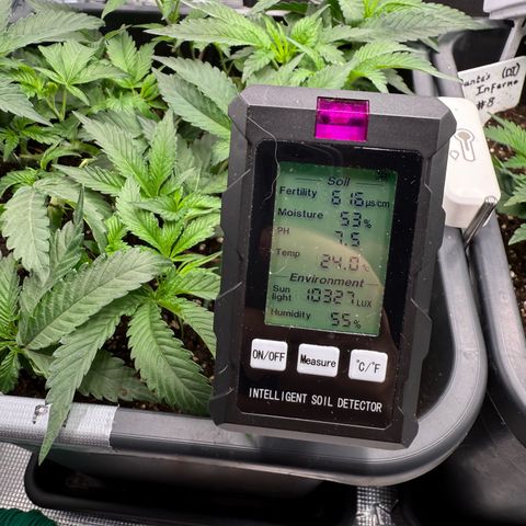 Permanent Marker growlog photo: 9:00