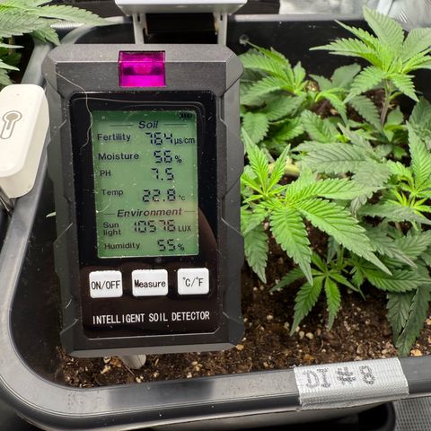 Dante‘s Inferno #8 growlog photo: 9:00