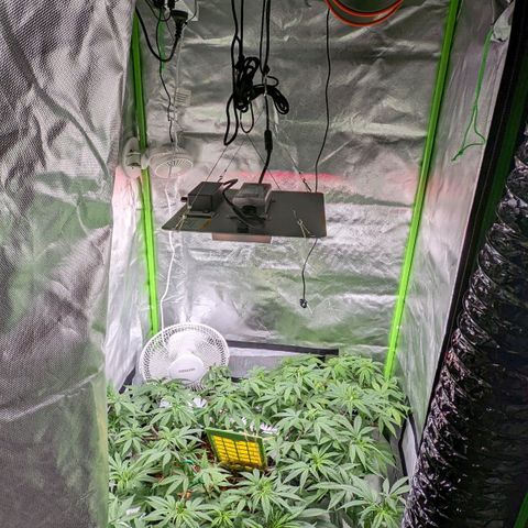 Cain growlog photo: Pre flip