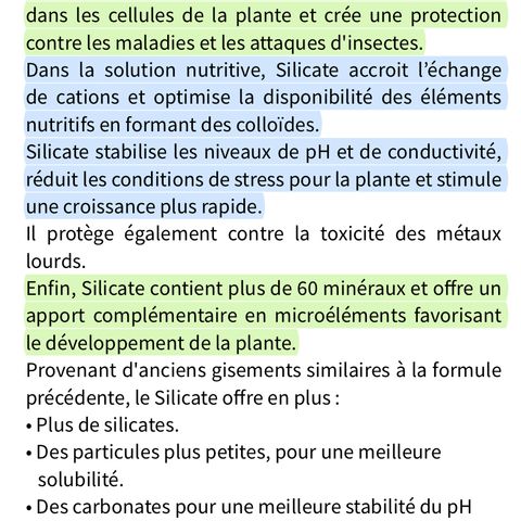 FCandy #1 growlog photo: Dans la solution nutritive 
