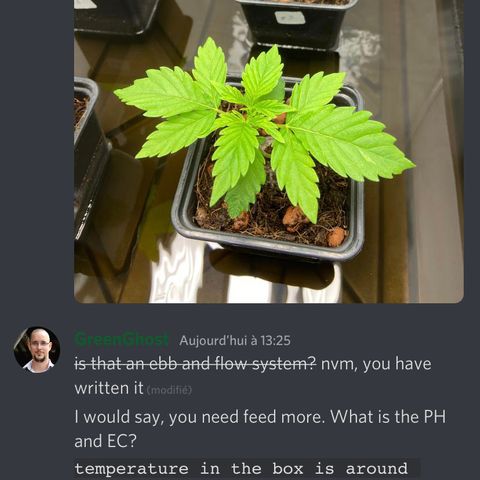 FCandy #1 growlog photo: Discord 