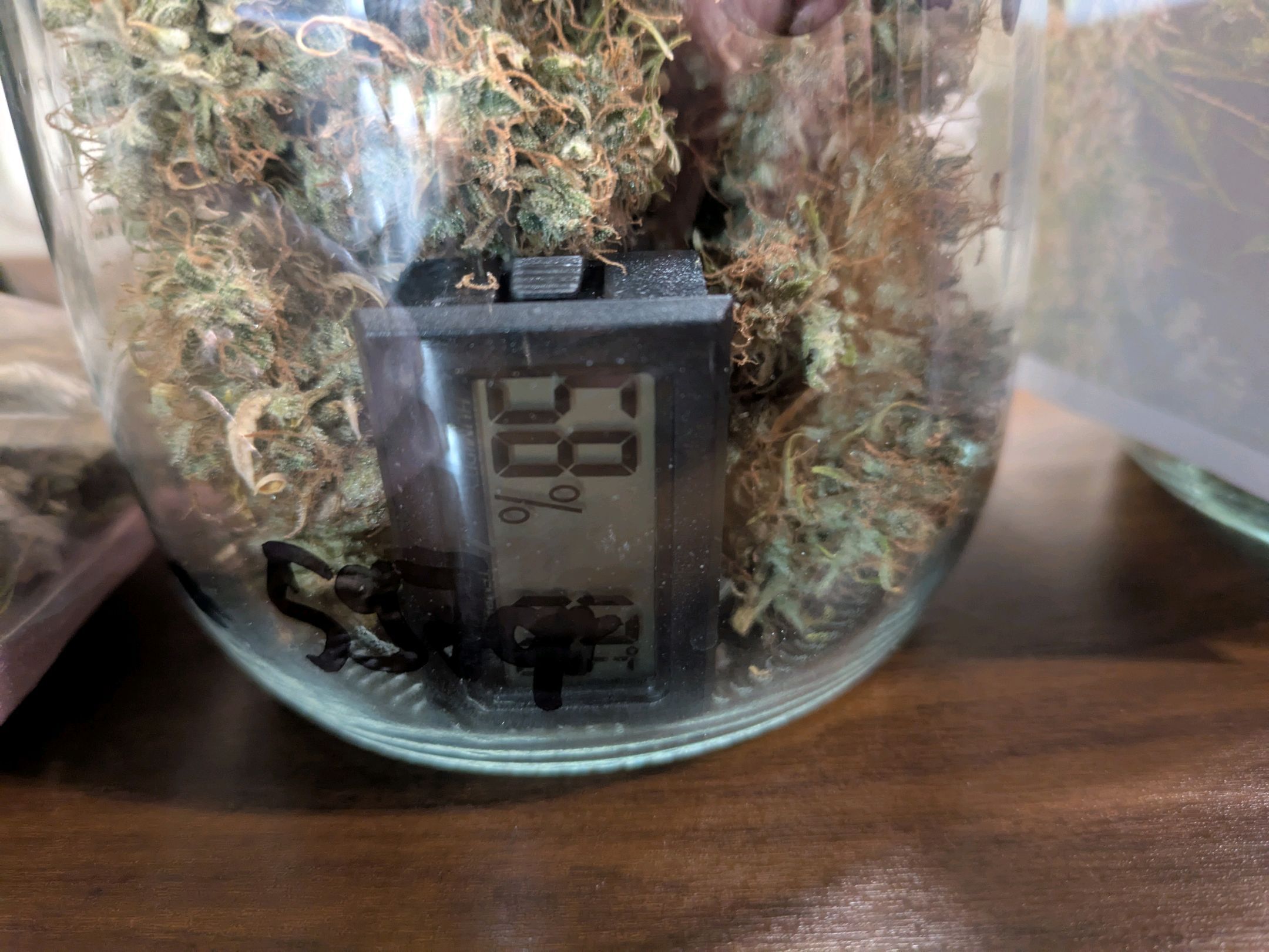 Sticky Orange XXL Automatic growlog photo 138