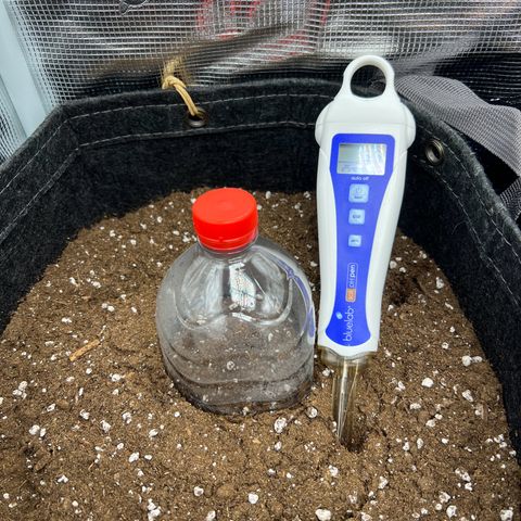 Gorilla Auto growlog photo: Soil ph 5,7