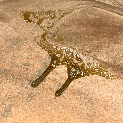 Tangie #4 growlog photo: Vienen quedando espectaculares. Terpeno super marcado a naranja/mandarina. El rosin una locura 😏