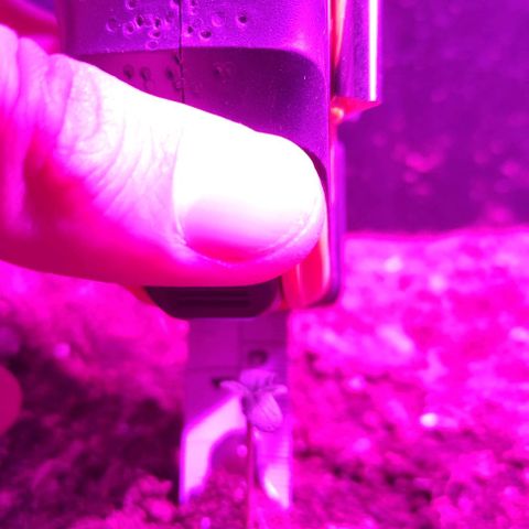 Cookies Cream Auto growlog timeline photo