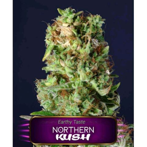 Northern Kush growlog timeline photo