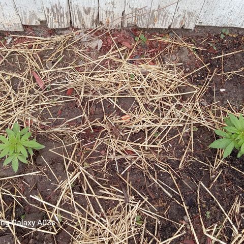 Putang BX growlog timeline photo