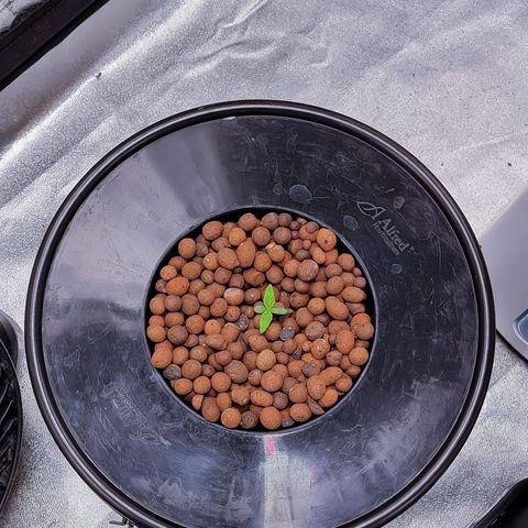 Kimberly growlog timeline photo