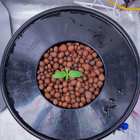 Kimberly growlog timeline photo