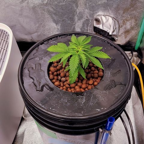 Kimberly growlog timeline photo