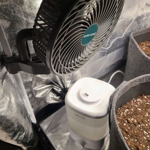 Zkittlez growlog photo: Now fully automated Humidity Control. Also added a oscillating Fan from Mars Hydro