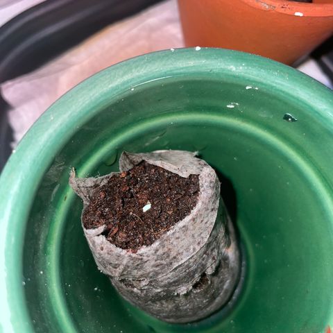 #2 growlog timeline photo