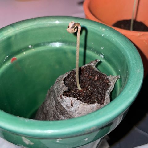 #2 growlog timeline photo