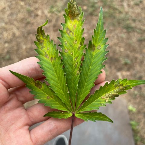 #2 growlog timeline photo