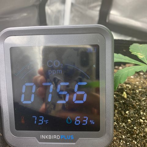 Peyote Wi-Fi growlog timeline photo
