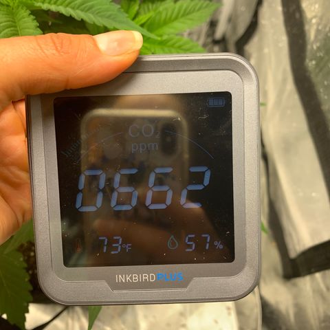 Peyote Wi-Fi growlog timeline photo