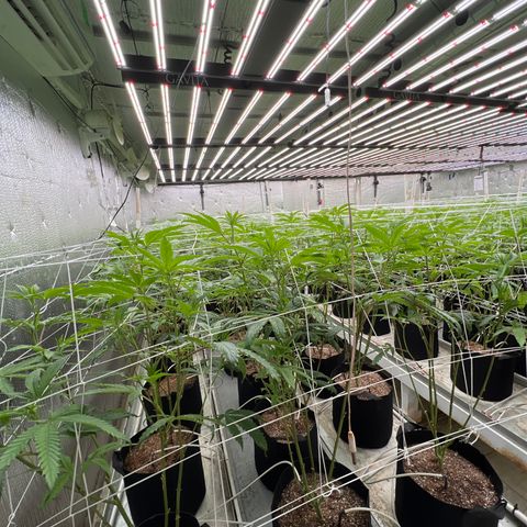LCG09 growlog timeline photo
