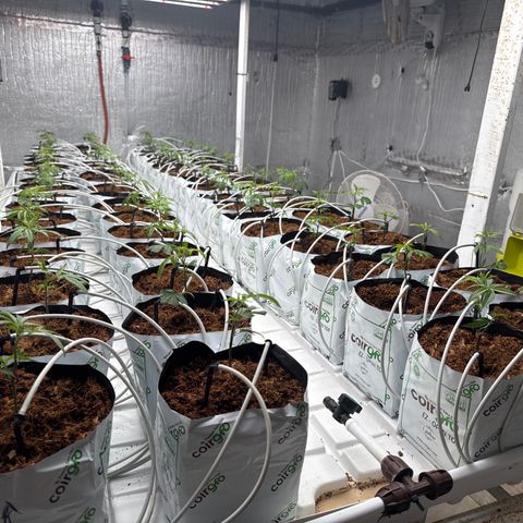 LCG09 growlog timeline photo