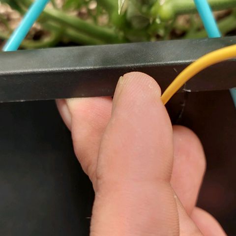 Green gelato growlog timeline photo