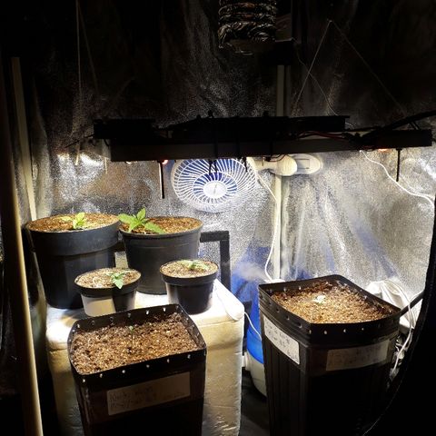 Tropa de Elite growlog timeline photo