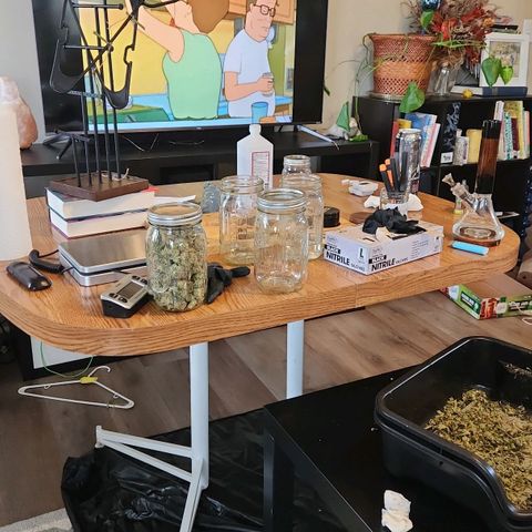 6 trees growlog timeline photo