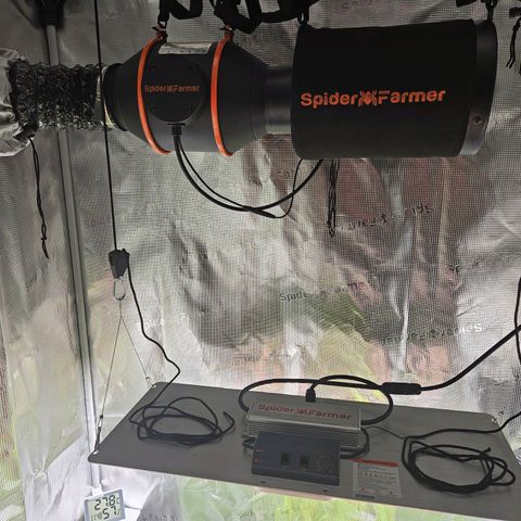 Northern Lights Automatic growlog timeline photo