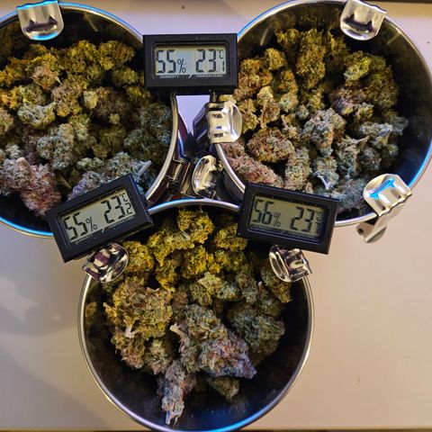 Apple Fritter Automatic growlog photo: 112g total