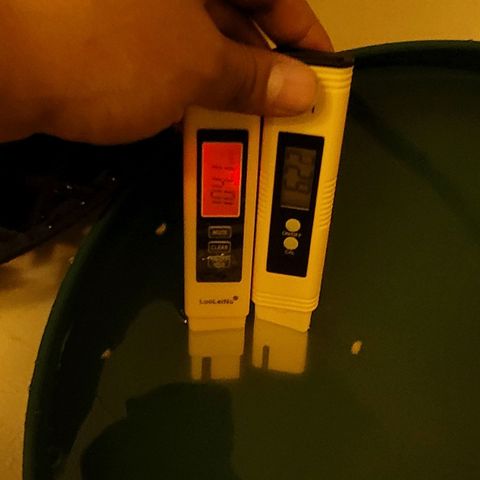 Expert Gorilla  growlog timeline photo